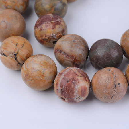 Natural Red Rainbow Jasper Beads Strands G-Q462-12mm-18-1