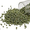 TOHO 11/0 Round Beads X-SEED-TR11-2632F-1