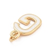 Rack Plating Brass Pendants KK-C065-05G-G-2