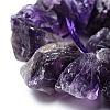 Natural Amethyst Beads Strands G-I283-F04-3