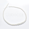 Natural Cultured Freshwater Pearl Beads Strands PEAR-K003-21C-2