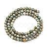 Natural Maifanite/Maifan Stone Beads Strands G-P451-01C-E-5