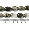 Natural Wealth Stone Jasper Beads Strands G-L242-32-5