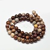 Natural Petrified Wood Round Bead Strands X-G-F266-08-6mm-2
