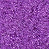 MIYUKI Round Rocailles Beads X-SEED-G007-RR2202-3
