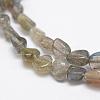 Natural Labradorite Beads Strands G-F521-42-3