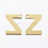 304 Stainless Steel Charms LS-X-STAS-P141-Z-2