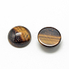 Natural Tiger Eye Cabochons X-G-R416-10mm-35-2