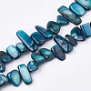 Freshwater Shell Beads Strands SHEL-S274-40B-1