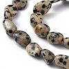 Natural Dalmatian Jasper Beads Strands G-B039-03A-3