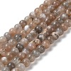 Natural Grey Moonstone Beads Strands G-F632-24-02-01-3