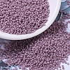 MIYUKI Round Rocailles Beads X-SEED-G007-RR2024-1