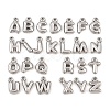 304 Stainless Steel Pendants STAS-S186-12-P01-1