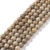 Natural Maifanite/Maifan Stone Beads Strands G-I187-10mm-01-1