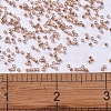 MIYUKI Delica Beads X-SEED-J020-DB0434-4