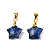 Natural Lapis Lazuli Charms G-N326-142-02-1