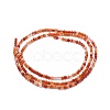Natural Carnelian Beads Strands X-G-A177-04-19-2
