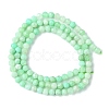 Natural Chrysoprase Beads Strands G-F748-X01-03A-3