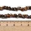 Natural Leopard Skin Jasper Beads Strands G-I389-A09-5