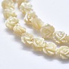 Shell Bead Strands SSHEL-P015-01B-8mm-3