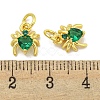 Rack Plating Brass Micro Pave Cubic Zirconia Spider Charms ZIRC-I065-02E-3