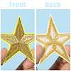 12Pcs Star Shape Cloth Embroidery Applqiues PATC-GF0001-33B-7