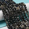 Natural Iolite Beads Strands G-A097-A14-09-2