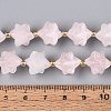 Natural Rose Quartz Beads Strands G-Q608-07A-02-5