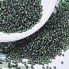 MIYUKI Delica Beads SEED-MY11-DB0690-1