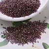 MIYUKI Delica Beads Small SEED-JP0008-DBS0108-1