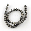 Natural Map Stone/Picasso Stone/Picasso Jasper Beads Strands G-S188-6mm-3
