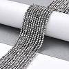 Electroplate Glass Beads Strands GLAA-H021-01A-FP08-3