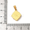 Ion Plating(IP) 304 Stainless Steel Pendants X-STAS-C103-12G-3