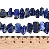 Natural Lapis Lazuli Beads Strands G-L657-E01-01-5