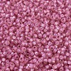 MIYUKI Round Rocailles Beads SEED-JP0008-RR0556-3
