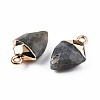 Natural Labradorite Pendants G-N326-134-03-3