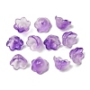 10Pcs Gradient Color Transparent Glass Bead Caps PW-WG464DA-08-1