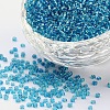 (Repacking Service Available) 12/0 Glass Seed Beads SEED-C014-2mm-23B-1
