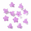 Transparent Acrylic Beads PLF018-04-2