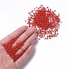 12/0 Glass Seed Beads SEED-US0003-2mm-45-4