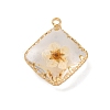 Brass Resin Pendants KK-U042-16G-01-1