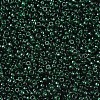 MIYUKI Round Rocailles Beads SEED-JP0008-RR0156-3