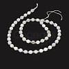 Natural Rainbow Moonstone Beads Strands G-O201B-16-2