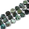 Natural African Turquoise(Jasper) Beads Strands G-P534-A26-02-4