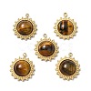 Natural Tiger Eye Pendants STAS-L080-009G-06-1