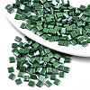 FGB 2-Hole Glass Seed Beads SEED-S031-L-ST127-1