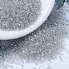 MIYUKI Delica Beads SEED-X0054-DB1251-1