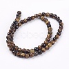 Natural Tiger Eye Round Bead Strands X-G-R200-6mm-2