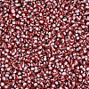 8/0 Glass Seed Beads SEED-S006-32-3