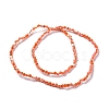 Electroplate Glass Beads Strands GLAA-E036-04B-3